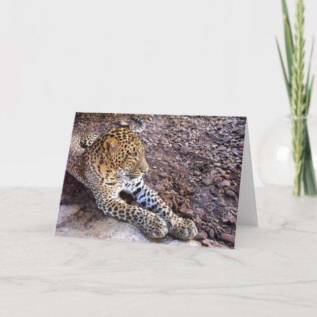 Cartes Pour Fêtes Annuelles Leopard au repos (Devant)