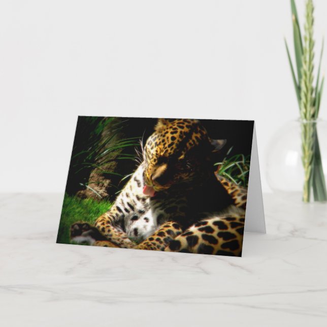 Cartes Pour Fêtes Annuelles Leopard de bain (Devant)