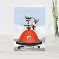 L'équipe de Bobsleighing de Schnauzer