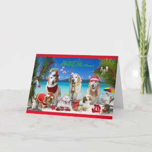 Cartes Pour Fêtes Annuelles Les animaux de compagnie fêtent Noël à la plage