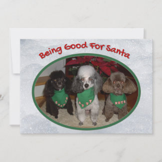 Cartes Pour Fêtes Annuelles Les Canicules De Noël Sont Bons Pour Père Noël