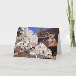 Cartes Pour Fêtes Annuelles Les cerisiers fleurissent. Joyeux Pâques.