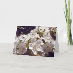 Cartes Pour Fêtes Annuelles Les cerisiers fleurissent. Joyeux Pâques.