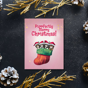 Cartes Pour Fêtes Annuelles Les chatons adorables dans l'entreposage Festif No