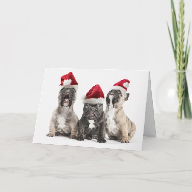 Cartes Pour Fêtes Annuelles Les chiots de bouledogue français chantent les (Devant)