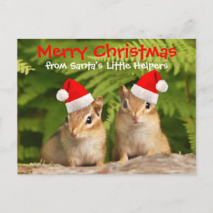 Cartes Pour Fêtes Annuelles Les Chipmunks de Santa's