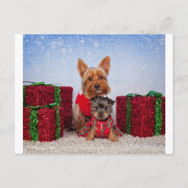 Cartes Pour Fêtes Annuelles Les copains de Noël (Devant)