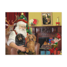Les deux dachshunds à poil long du Père Noël