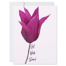 Les fleurs de tulipe rose violet se portent bien b
