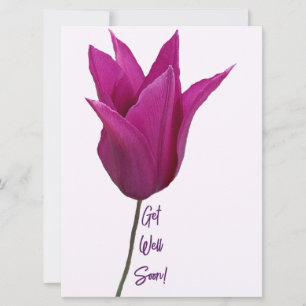 Cartes Pour Fêtes Annuelles Les fleurs de tulipe rose violet se portent bien b