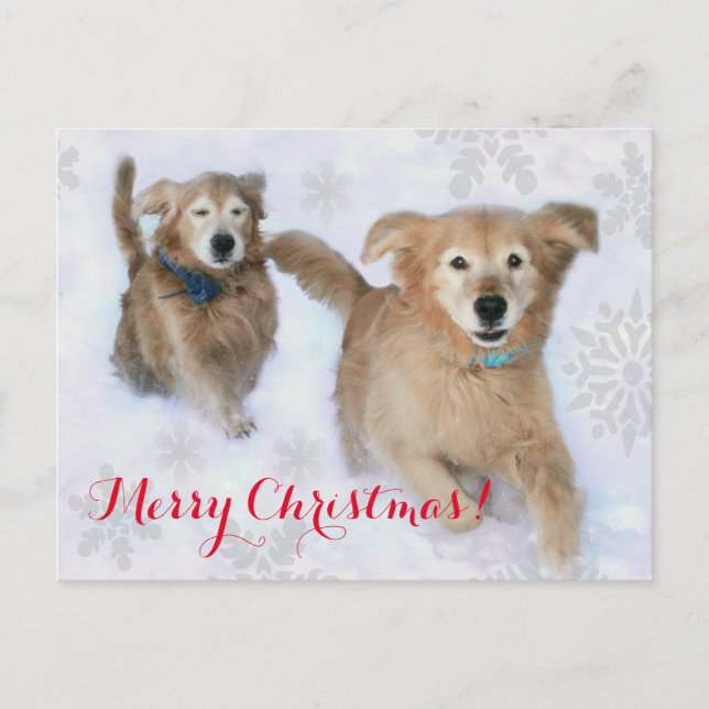 Cartes Pour Fêtes Annuelles Les Golden Retrievers Dashu à travers la neige Noë (Devant)