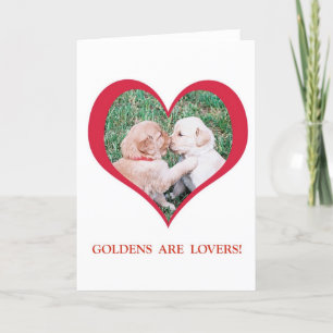 Cartes Pour Fêtes Annuelles Les Golden Retrievers sont des amoureux ! Saint-Va