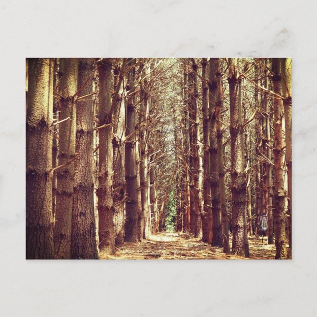 Cartes Pour Fêtes Annuelles Les grands arbres (Devant)