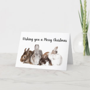 CARTES POUR FÊTES ANNUELLES LES LAPINS SONT RÉUNIS POUR DIRE **JOYEUX NOËL**