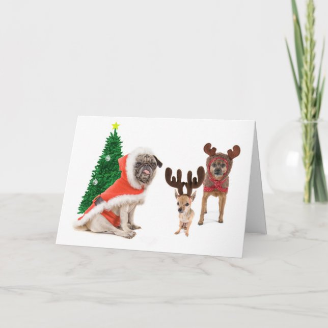 Cartes Pour Fêtes Annuelles Les remplaçants (Devant)