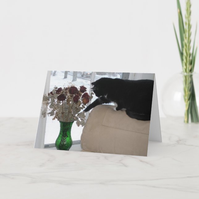 Cartes Pour Fêtes Annuelles Les roses et le chat (Devant)