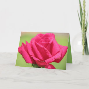 Cartes Pour Fêtes Annuelles Les roses sentent plus doux
