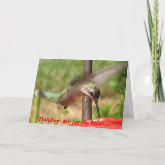 Cartes Pour Fêtes Annuelles Les vacances sont pour les oiseaux….