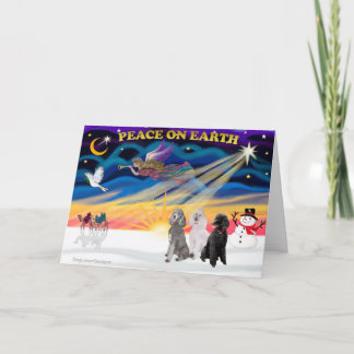 Cartes Pour Fêtes Annuelles Lever de soleil de Noël - Trois caniches standards
