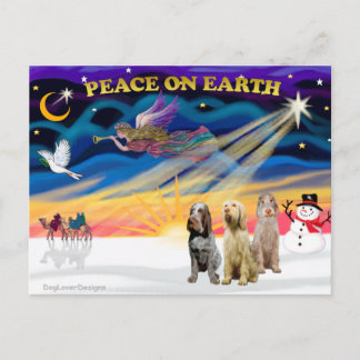 Cartes Pour Fêtes Annuelles Lever de soleil de Noël - Trois Spinones italiens