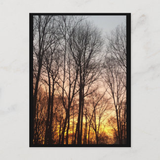 Cartes Pour Fêtes Annuelles Lever d'hiver-Noël matin