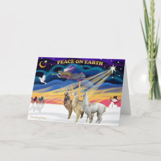 Cartes Pour Fêtes Annuelles Lever du soleil de Noël - Trois lamas