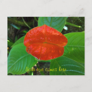 Cartes Pour Fêtes Annuelles lèvres rouges