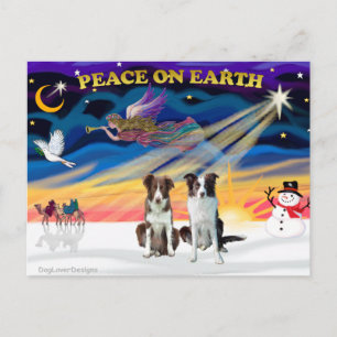 Cartes Pour Fêtes Annuelles Levriers Border Collies au lever de soleil de Noël