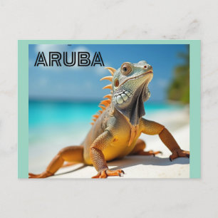 Cartes Pour Fêtes Annuelles lézard profitant de la plage à aruba