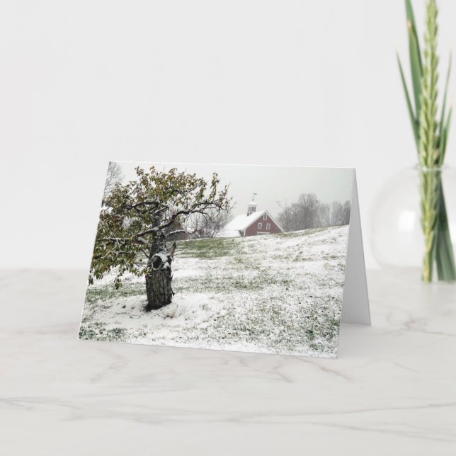 Cartes Pour Fêtes Annuelles L'hiver sur une ferme hollandaise (Devant)