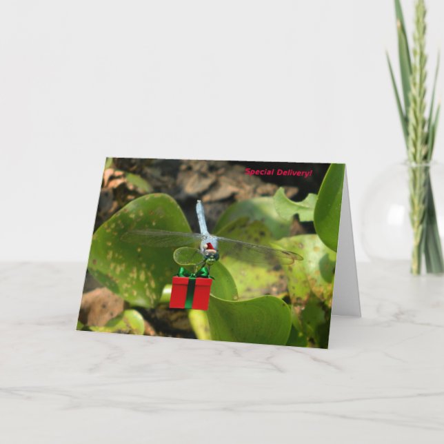 Cartes Pour Fêtes Annuelles Libellule Père Noël (Devant)