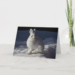 Cartes Pour Fêtes Annuelles Lièvre de raquettes dans le parc national Snow Den