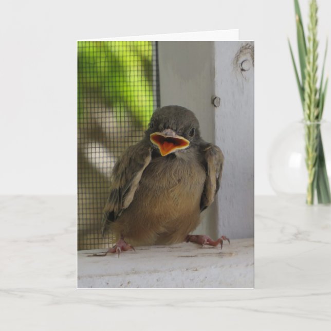 Cartes Pour Fêtes Annuelles Lil Birdie, Joyeux oiseau souriant (Devant)