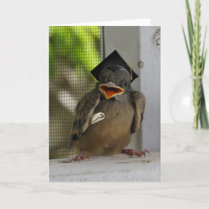Cartes Pour Fêtes Annuelles Lil Birdie, Joyeux Oiseau souriant, Diplôme