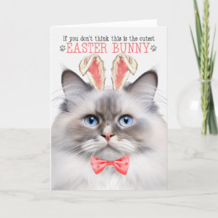 Cartes Pour Fêtes Annuelles Lilac Point Ragdoll Cutest Bunny Kitty Puns