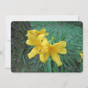 Cartes Pour Fêtes Annuelles Lilies jaunes