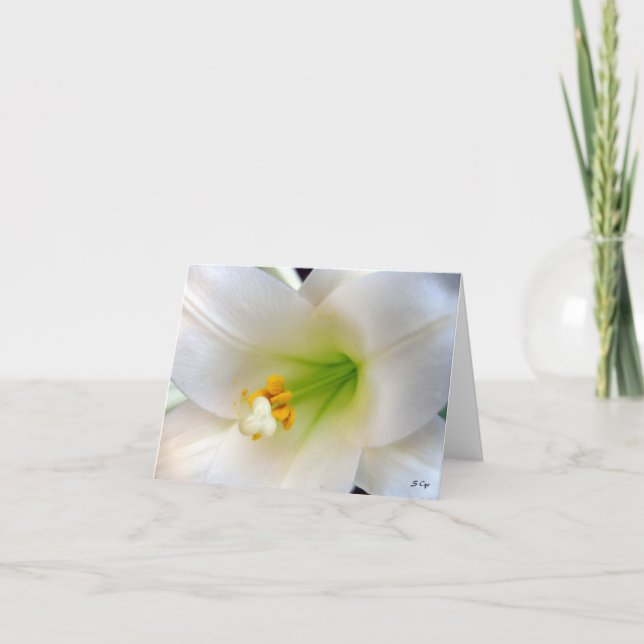 Cartes Pour Fêtes Annuelles Lily de Pâques (Devant)