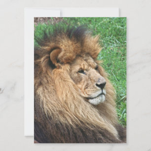 Cartes Pour Fêtes Annuelles Lion 001