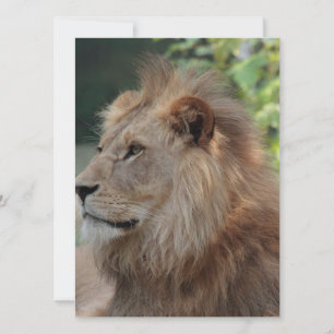 Cartes Pour Fêtes Annuelles Lion 035