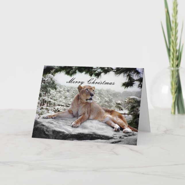 Cartes Pour Fêtes Annuelles Lion à Noël (Devant)