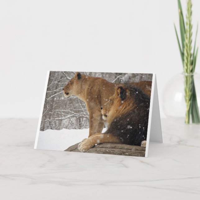 Cartes Pour Fêtes Annuelles Lions (Devant)