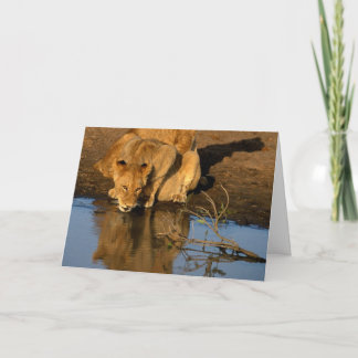 Cartes Pour Fêtes Annuelles Lions et petits animaux