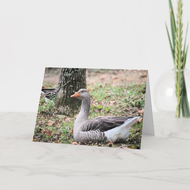 Cartes Pour Fêtes Annuelles Liquide (Devant)