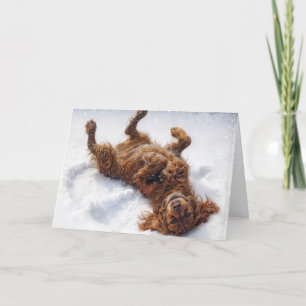 Cartes Pour Fêtes Annuelles L'Irish Setter de Noël faisant un ange de neige