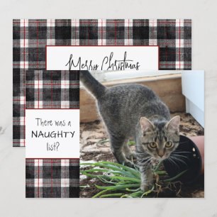 Cartes Pour Fêtes Annuelles Liste des vilains Chat Photo Carreaux de Noël