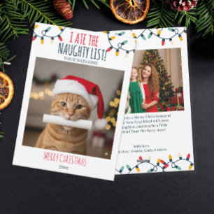 Cartes Pour Fêtes Annuelles Liste vilain de chat drôle personnalisée photo de