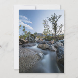 Cartes Pour Fêtes Annuelles Little Stream Nature Photo