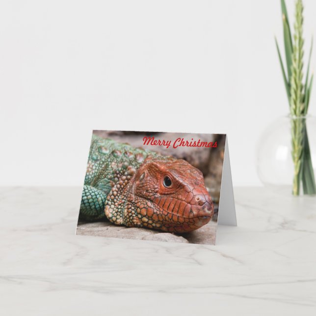 Cartes Pour Fêtes Annuelles Lizard Christmas (Devant)