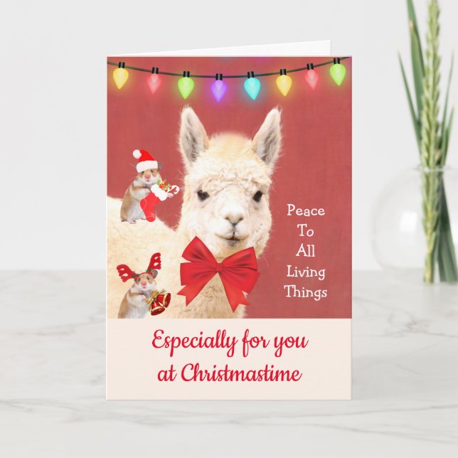 Cartes Pour Fêtes Annuelles Llama À Noël Paix À Tous (Devant)