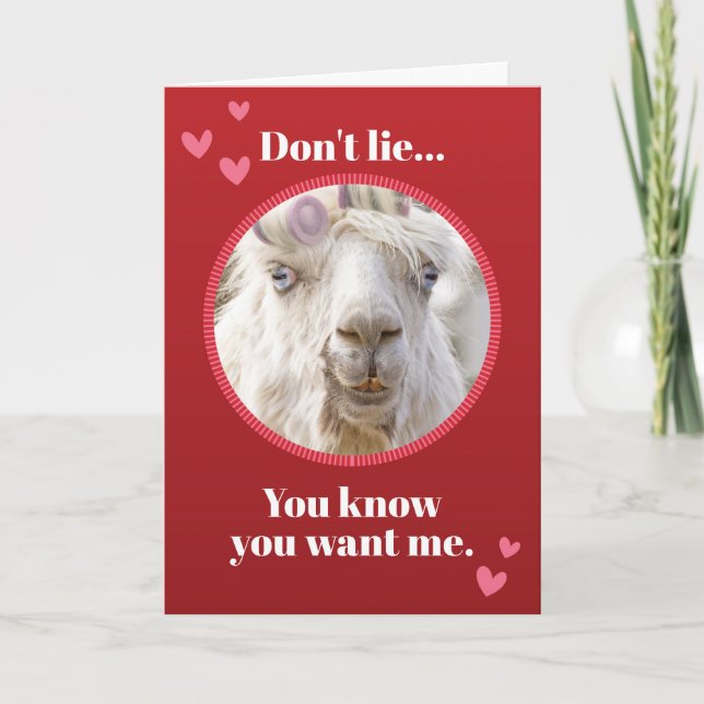 Cartes Pour Fêtes Annuelles Llama blanche et drôle avec Rollers Valentines (Devant)